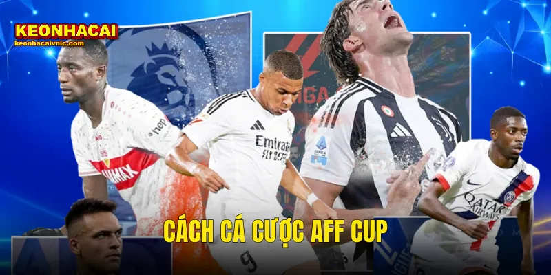cá cược AFF Cup