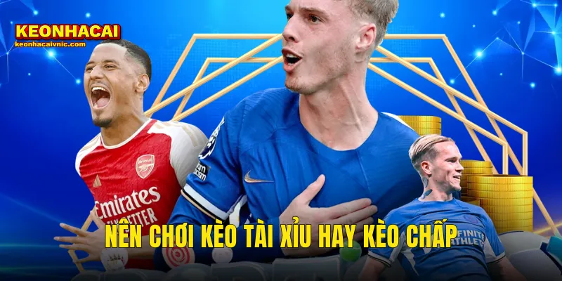 Nên Chơi Kèo Tài Xỉu Hay Kèo Chấp